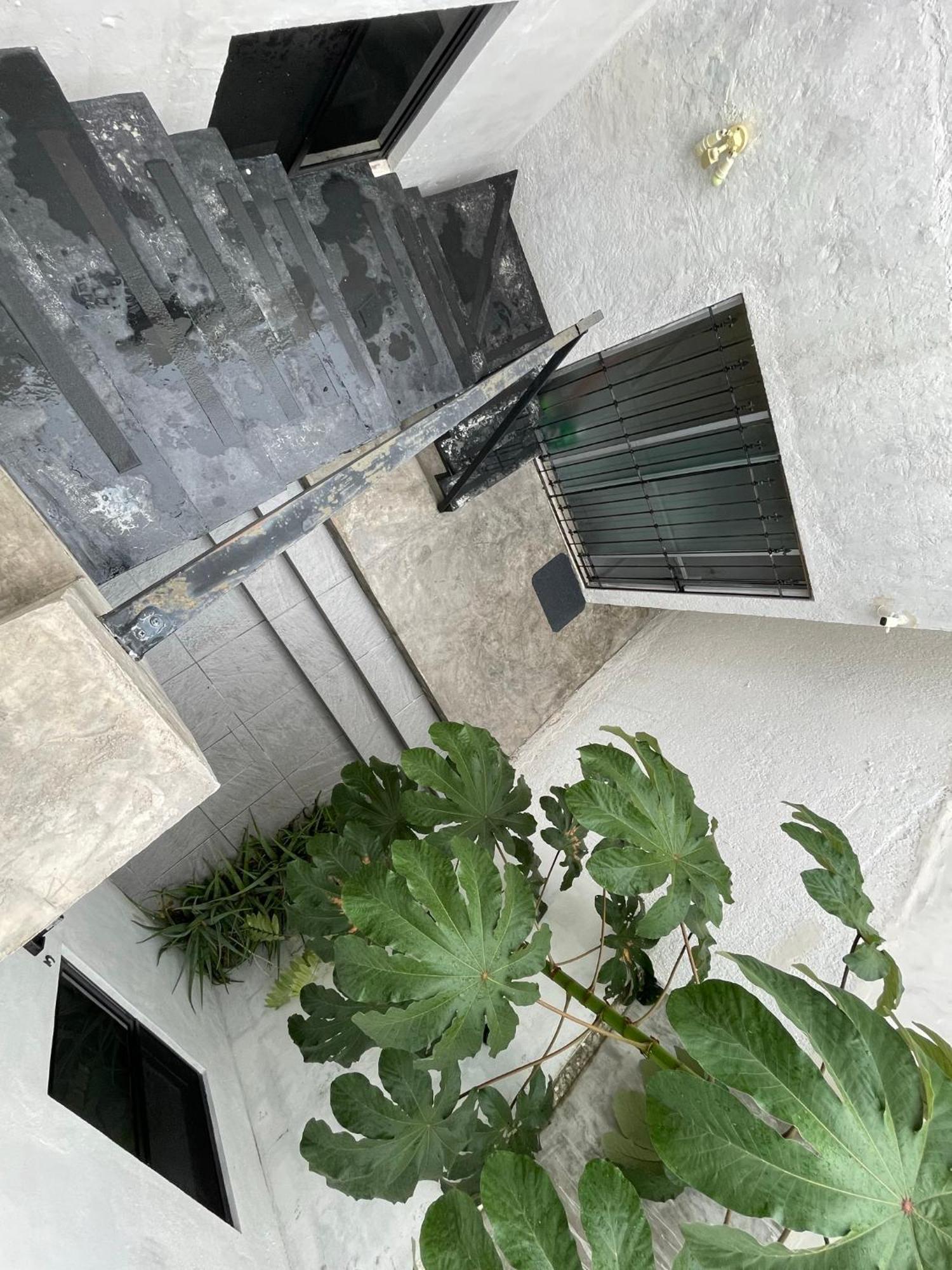 Casa Y Departamentos Lavanda Mérida Kültér fotó